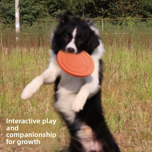 Soft Silicone Pet Frisbee Dog Toy