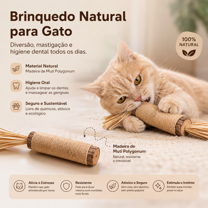 Natural Wood Cat Chew Toy for Dental Health