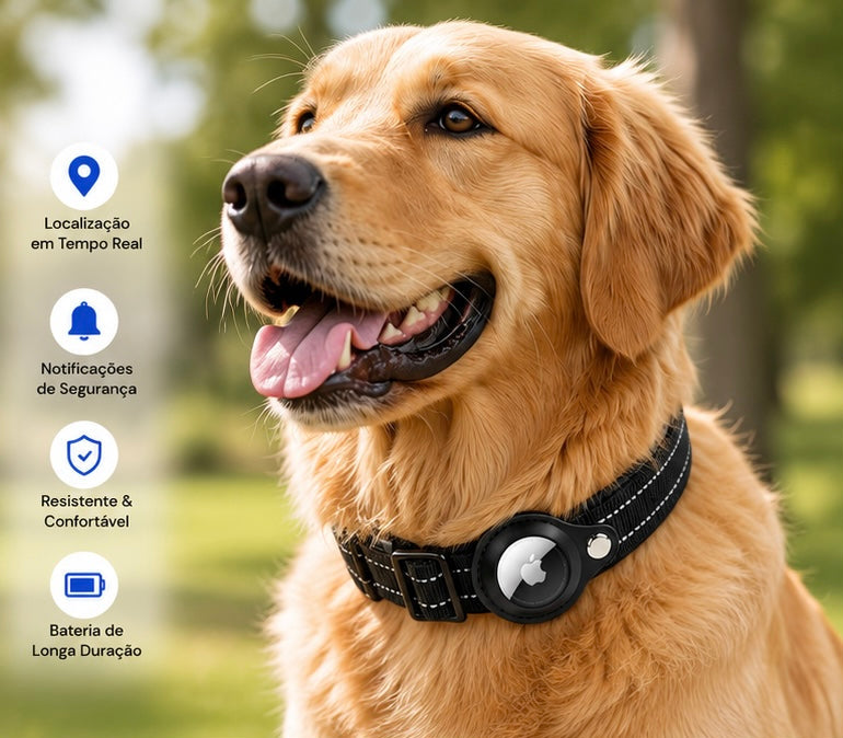 GPS Pet Tracker